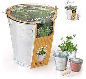 Pot zinc de culture Coriandre terreau et graine 12 Pot zinc de culture Coriandre