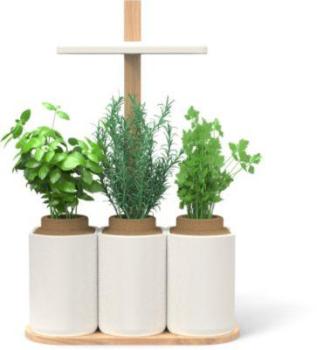 Jardin d intérieur Pret A Pousser Smart LILO Jardin d intérieur Pret A