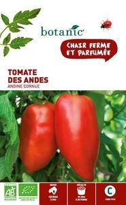 Tomate des Andes - Andine Cornue AB BIO Tomate des Andes - Andine