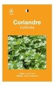 Coriandre cultivee