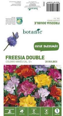 20 bulbes de Freesia Double Mélange ? Couleurs var