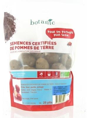 Pommes de terre Bintje bio calibre 0001 25 plants Pommes de terre Bintje bio