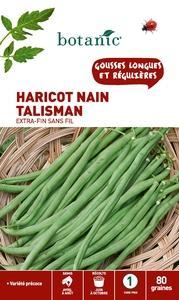 Haricot nain talisman extra-fin sans fil 80 Graine