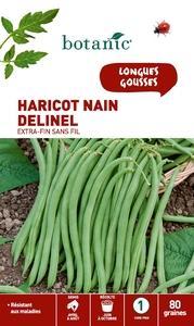 Haricot nain delinel extra-fin sans fil 80 Graines