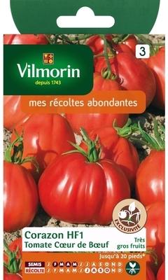 Tomat coeur de boeuf Tomat coeur de boeuf