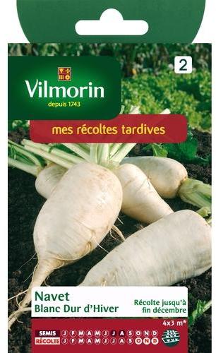 Navet blanc dur dhiver