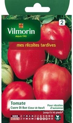 TOMATE CUOR DI BUE TOMATE CUOR DI BUE