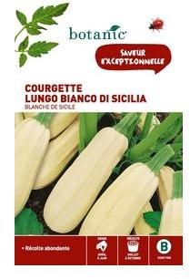 Courgette lungo bianco (blanche de sicile) Insolit