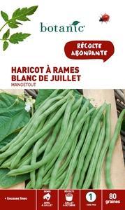 Haricot a rames blanc de juillet a rames mangetout Haricot a rames blanc de juillet