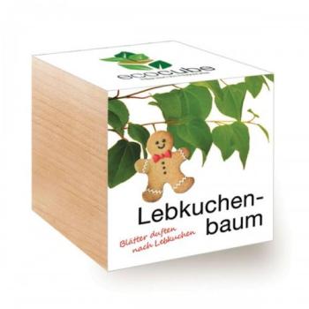 Ecocube - plantes dans cubes en bois - Arbre de pein Ecocube - plantes dans cubes