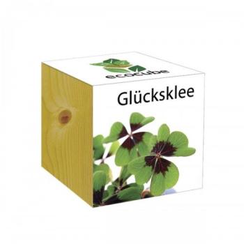 Ecocube - plantes dans cubes en bois - Trèfle à quatre Ecocube - plantes dans cubes
