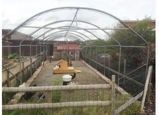 Volière largeur 2 m
