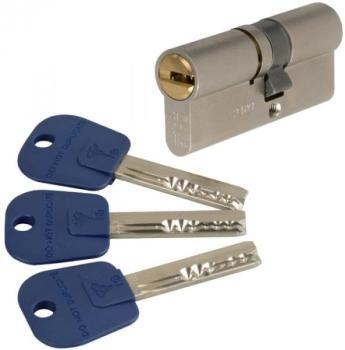 Cylindre 2 entrées varié nickelé - 50 x 31 mm - In