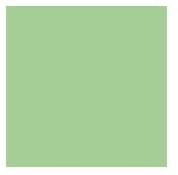 Serviette vert anis en papier tissu 1 pli 20 x 20cm Serviette vert anis en papier