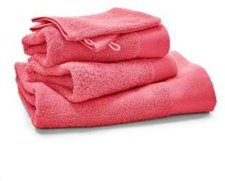 Lot de 5 pièces éponge, 500g/m² SCÉNARIO - SCENARI