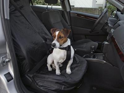 Housse siège avant voiture