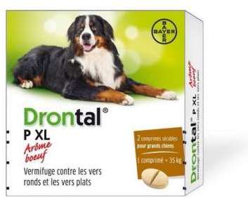 Drontal p xl - 2 comprimés sécables pour grands ch