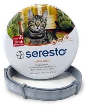 Seresto collier chats