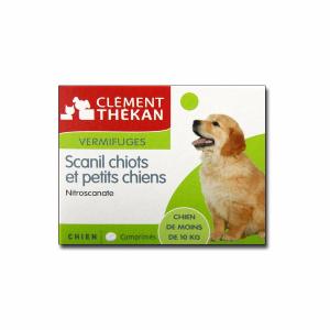 Scanil chiots et petits chiens - Clément Thékan -