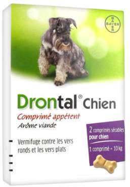 Bayer Drontal chien 2 comprimés