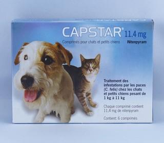 Capstar 11.4 mg Chats et Petits Chiens - Novartis