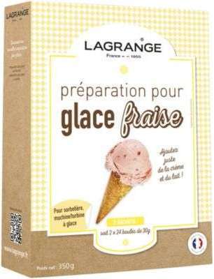 Accessoire sorbetière Lagrange Prépa pour Glace fraise Accessoire sorbetière Lagrange