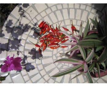 Table jardin ronde en mosaique (160 cm) - table fe