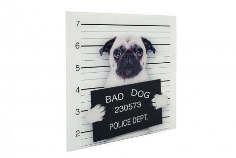 Tableau en verre design Bad Men Bulldogge 40x40 cm