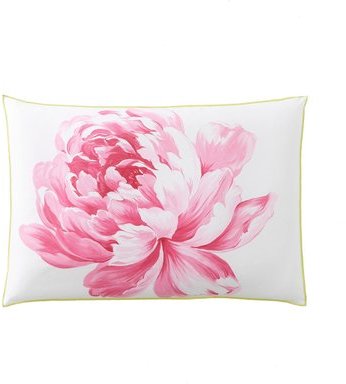 Taie Doreiller Ou De Traversin Satin De Coton Cha