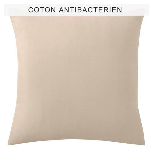 Taie Doreiller Ou De Traversin Coton Traité Antib