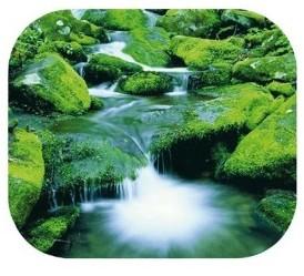 Tapis de souris rectangulaire en plastique dur déc