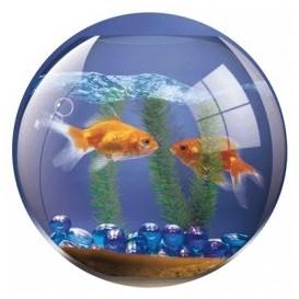Tapis de souris rond en plastique dur décor Poisso