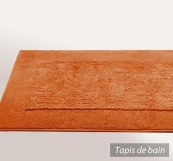 Tapis de bain 60x60 cm DREAM Rouge Terre 2000 g m2 Tapis de bain 60x60 cm DREAM