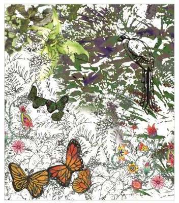Tenture ou tableau tendu papillon bresil