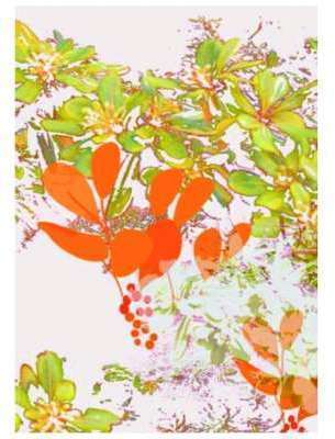 Tenture decorative feuilles tropicales