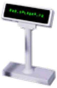Afficheur client Epson DMD 210
