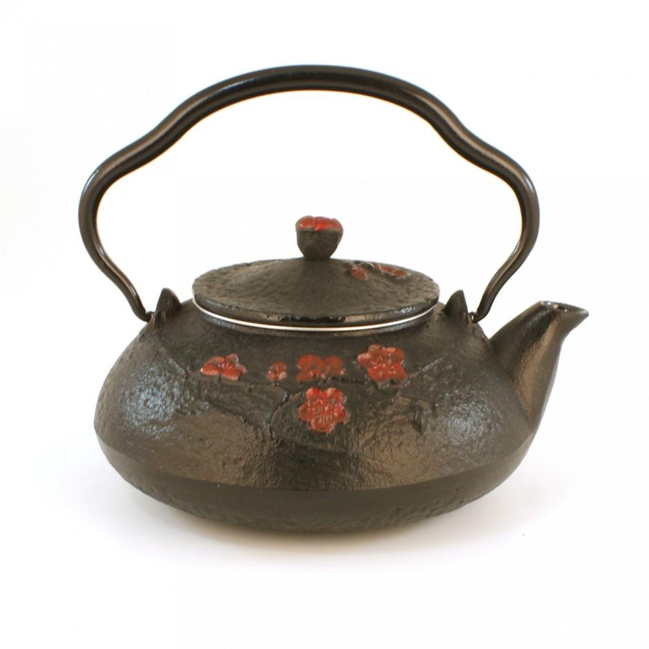 Théière sabi grise japonaise en fonte du Japon, Sh