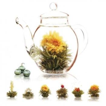 Théière et fleurs de thé magiques