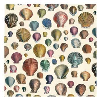 John Derian by Designers Guild - Tissu Captain Thomas John Derian by Designers Guild