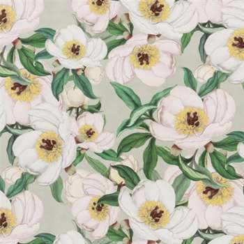 John Derian by Designers Guild - Tissu Paeonia Albiflora John Derian by Designers Guild