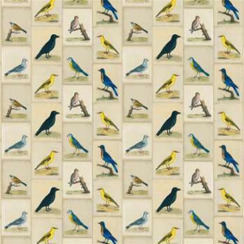 John Derian by Designers Guild - Tissu Bird Collage John Derian by Designers Guild