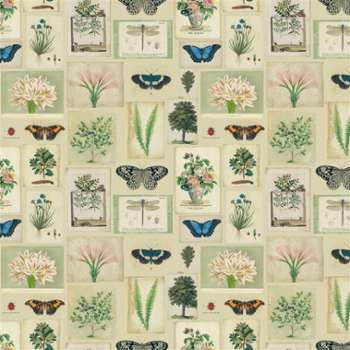 John Derian by Designers Guild - Tissu Flora And Fauna John Derian by Designers Guild