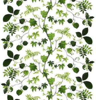Toile cirée Liv vert