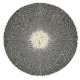 Set de Table Rond en Polypropylène Gris