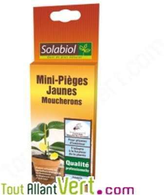Pièges anti-moucherons jaunes pour plantes dintér