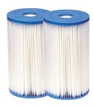 Cartouche pour filtre épurateur x 2