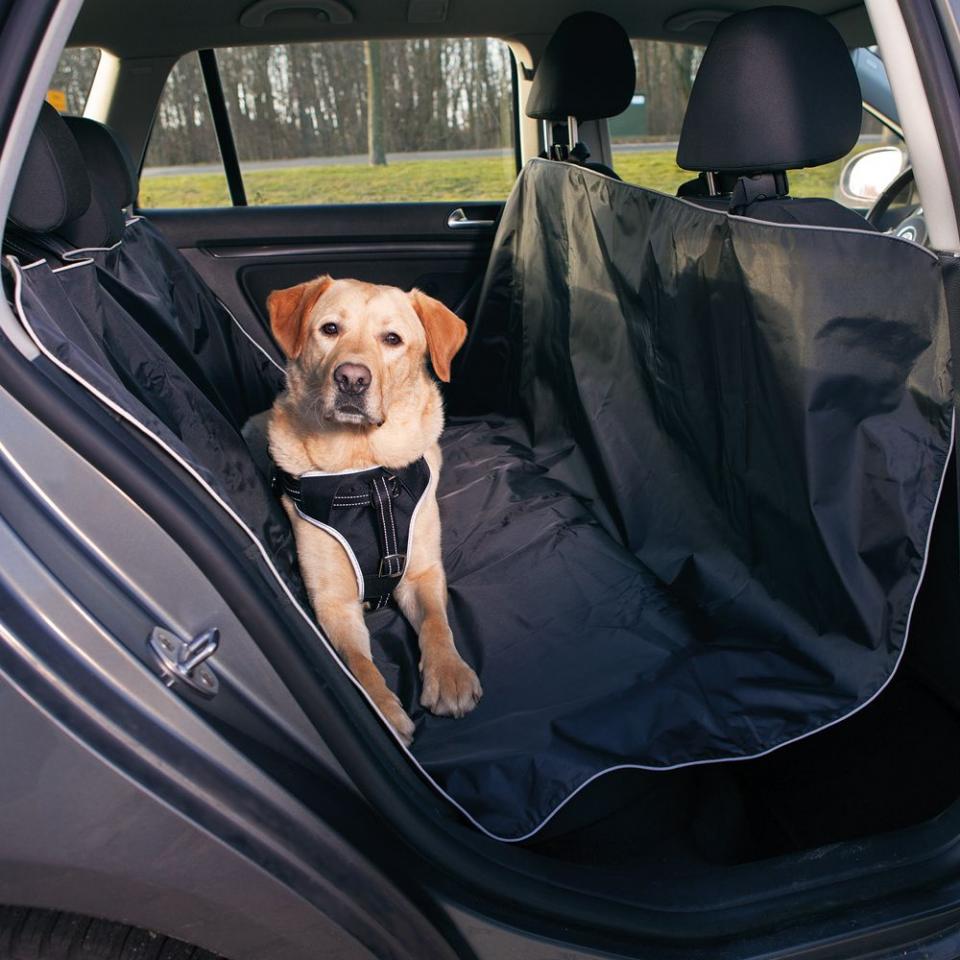 Couverture de protection de voiture Trixie pour ch
