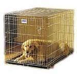 Cages Dog Residence deux Portes
