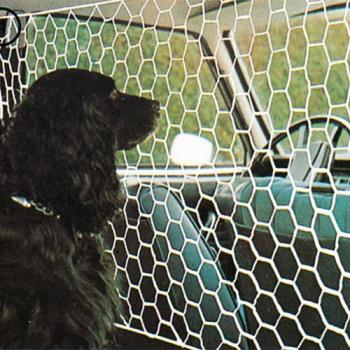 FILET pare chien Noir FILET pare chien Noir