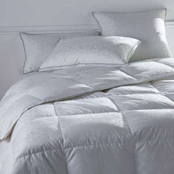 TRAVERSIN PLAT NATUREL 90% DUVET DE CANARD BLANC N